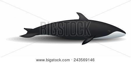 Orca Whale Mockup. Realistic Illustration Of Orca Whale Vector Mockup For Web Design Isolated On Whi