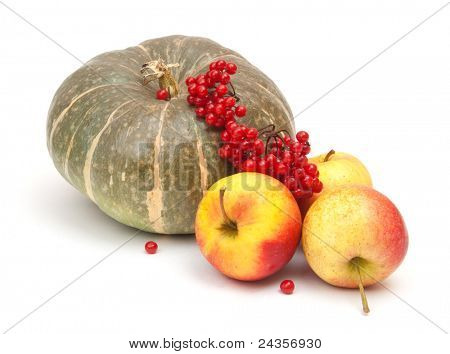 zucca verde, mele gustose e arrowwood rosso