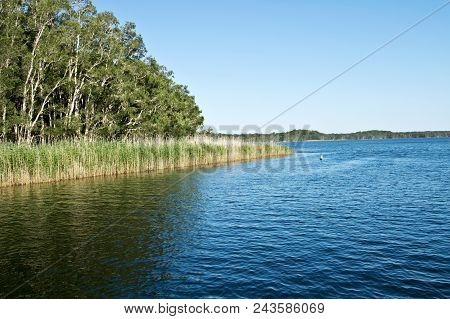 Water Surface Of Myall Lake In Australia.
