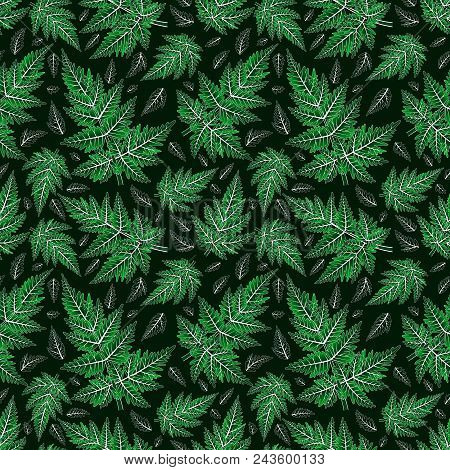 Illustration Of Seamless Floral Pattern With Fern Branches On Green Background