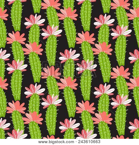 Vector Cactus Greem With Orange Flowers Pattern Isolated On Dark Background.