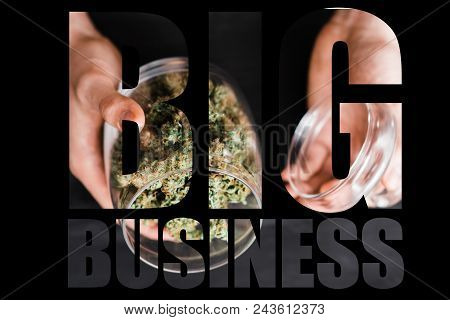 A Can With Buds Of Cannabis In The Hands Of A Man. The Concept Of Legal Marijuana Is Medical Weed. O