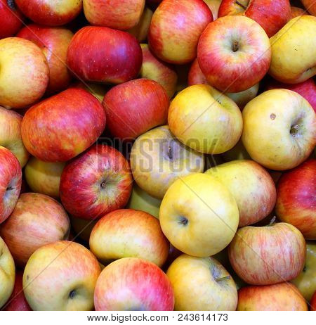 Background Of Yellow And Red Organic  Apples For Sale At Greengrocers