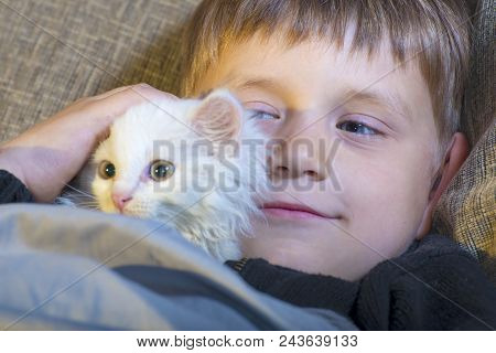 A Young And Cheerful Little Boy Is Playing With A White Cat On The Couch