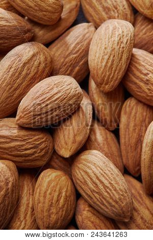 dried apricot kernel fruit close up