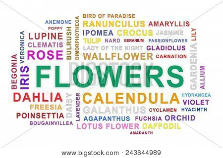 Flowers Word Cloud Isolated On White Background.