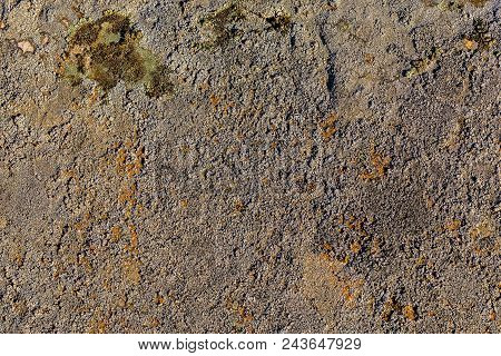 Gray Molded Flat Closeup Stone Background Under Direct Sunlight