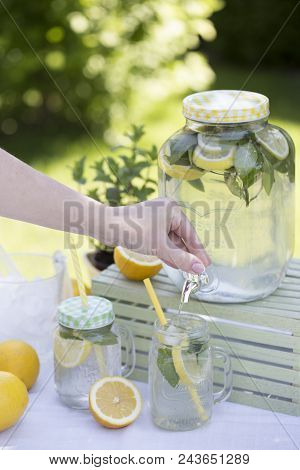 Preparation Of The Lemonade Drink. Lemonade In The Jug And Lemons With Mint On The Table Outdoor