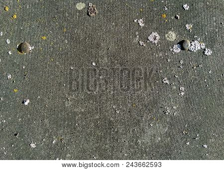 Texture Of Old Grey Asbestos Cement Board With Moss And Two Screws. Slate Background For Design With