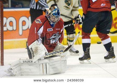 Ligue de Hockey de l'Ontario - London Vs Windsor