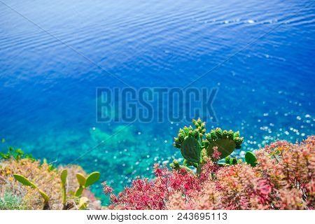 Beautiful Cozy Bay With Boats And Clear Turquoise Water In Italy