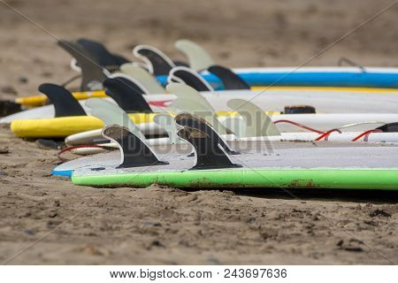 Surf Boards On Sandy Beach, Surfschool Famara Beach, Lanzarote