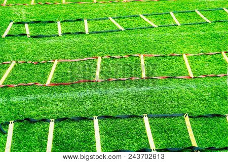 Agility Ladders In Different Colours On Grass