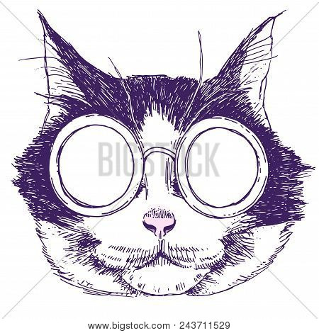 Vector Funny Muzzle Steampunk Cat In Sunglasses Closeup. Cool Always. Portrait Cool Cat