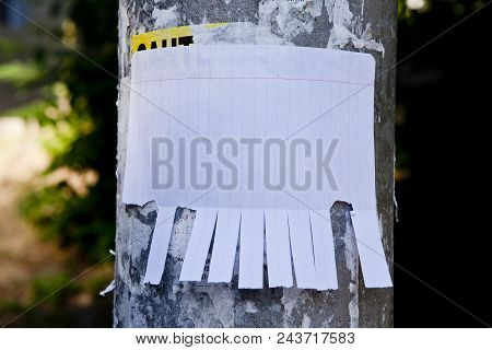 Blank White Paper With Tear Off Tabs