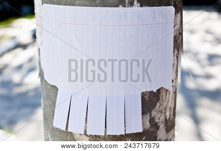 Blank White Paper With Tear Off Tabs