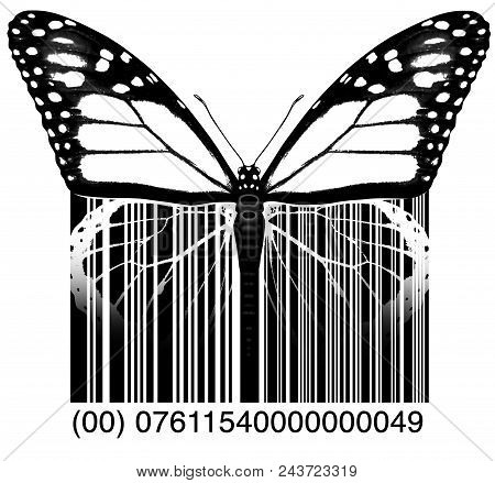Environment Business Or Environmental Industry Symbol And The Green Economy Icon As A Butterfly Tran