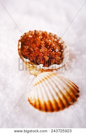 Hawaiian Red Gold Salt in sea shell on salt background