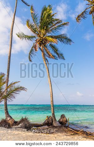 A View Of A Beachscape In The San Blas Islands, Panama.