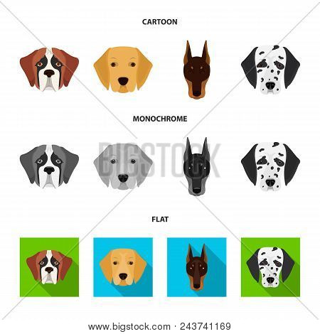 Muzzle Of Different Breeds Of Dogs.dog Of The Breed St. Bernard, Golden Retriever, Doberman, Dalmati