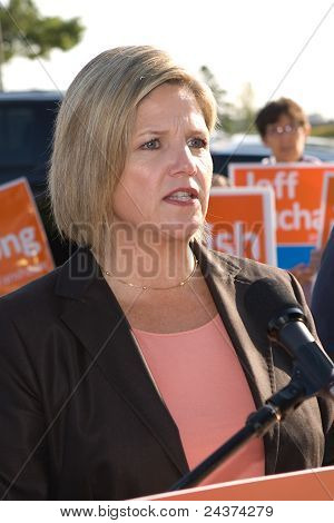 Andrea Horwath, eleição de Ontário de 2011