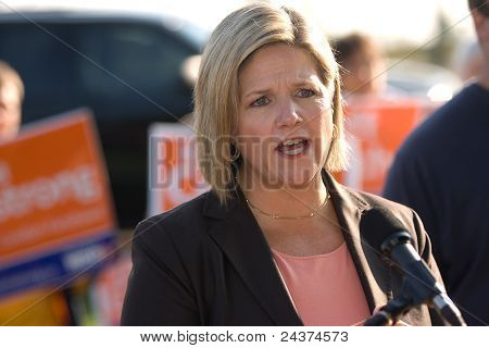 Andrea Horwath, eleição de Ontário de 2011