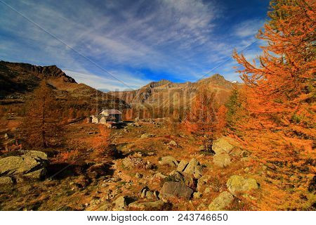 Gran Paradise Park	
Beautiful view of Italian Mountains! Visit my profile to see more capture!