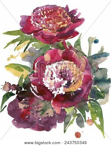 59/5000
Pyshnyye Tsvety Bordovykh Pionov S Sochnoy Listvoy Na Belom Fone
Lush Flowers Burgundy Peoni