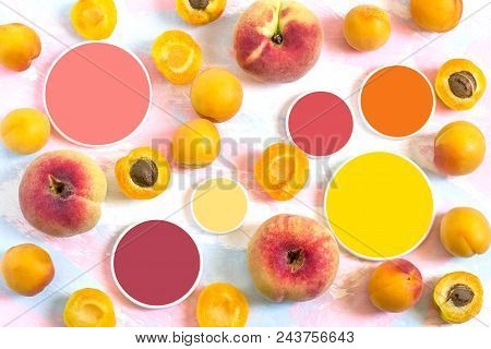Ripe Apricots, Flat Peaches And Color Samples. Natural Color Palette. Shades Of Different Colors. Di