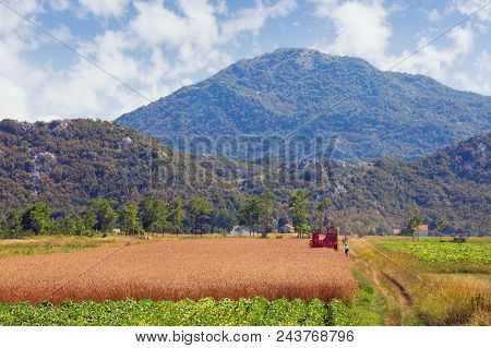 Agricultural Works. Field In Valley Of Dinaric Alps On Sunny Summer Day.  Bosnia And Herzegovina, Re