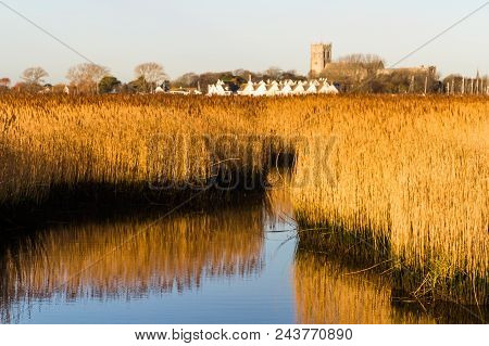 Reeds In Sea Water Channel, Christchurch Priory In The Background. Morning Light.