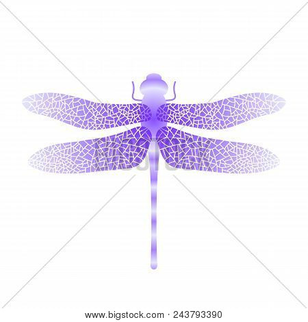 Blue Stilized Dragonfly Isolated On White Background. Insect Logo Design. Aeschna Viridls