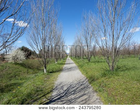 Milan, Lombardy, Italy: The Park Known As Parco Grugnotorto In The Springtime