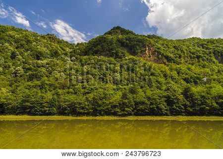Landscape With Olt River In Romania Surrounded By Forest And Mountains