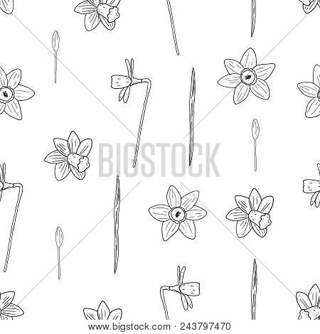 Vector Seamless Narcissus Monochrome Pattern. Vector Floral Pattern