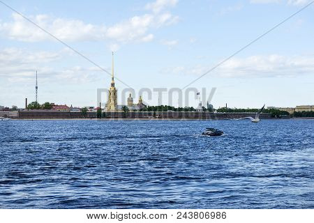 Neva River, Boat, Seagull, Peter And Paul Fortress, Zayachy Sharp, St. Petersburg, Russia, Attractio