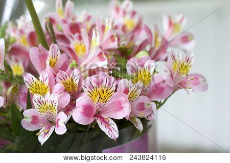 Colorful Alstroemeria Flowers. A Large Bouquet Of Multi-colored Alstroemerias In The Flower Shop Are