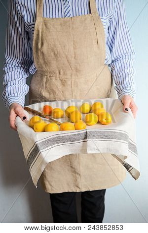 A Man Is Holding A Tray Fukk Of Fresh Apricots And Peaches From The Garden.