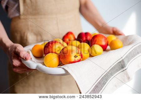A Man Is Holding A Tray Fukk Of Fresh Apricots And Peaches From The Garden.