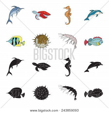 Shrimp, Fish, Hedgehog And Other Species.sea Animals Set Collection Icons In Black, Cartoon Style Ve