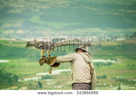 Otavalo, Ecuador - May 29, 2018: A Black-chested Buzzard Eagle Lands On The Gloved Hand Of A Bird Ha