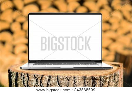 Laptop with blank screen in the forest.