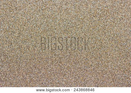 Sandy Beach Background. Detailed Sand Texture, Top View