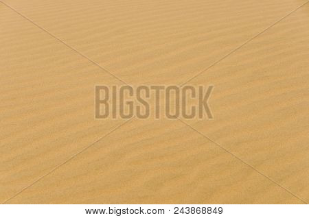 Sand Dunes In Desert Of Corro, Venezuela