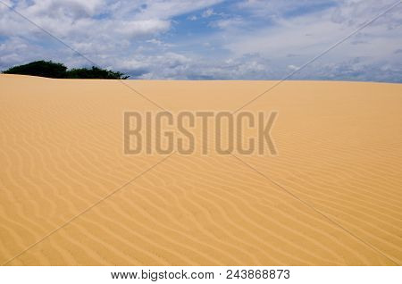 Sand Dunes In Desert Of Corro, Venezuela