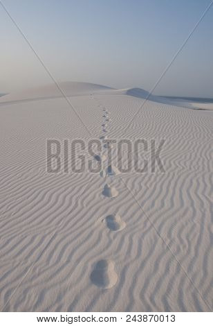 Desert With Footprints Going Away. Socotra Island, Yemen