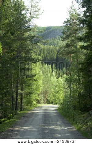 Skovvejen