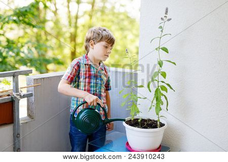 Active Little Preschool Kid Boy Watering Plants With Water Can At Home On Balcony. Little Child Help