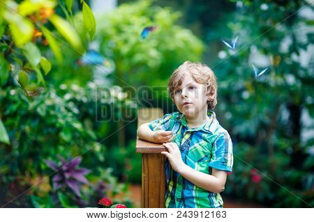 Little Blond Preschool Kid Boy Discovering Flowers And Butterflies At Botanic Garden. Fascinated Sch