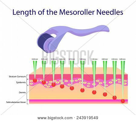 Length Of The Mesoroller Needles, Vector Illustration Isolated